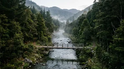 Barot Valley