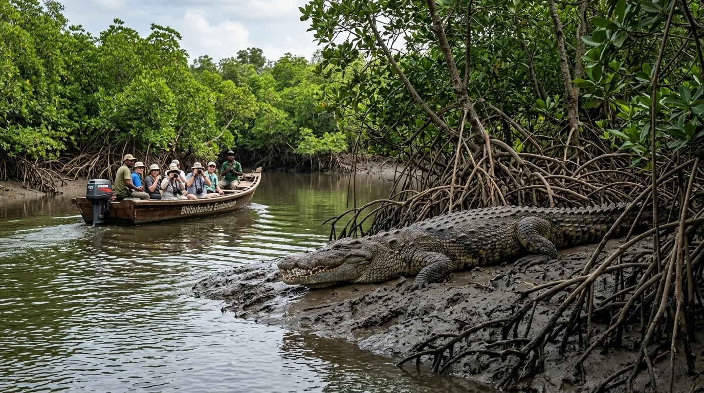 Bhitarkanika — host of Olive Ridley Turtle Festival