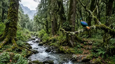 Great Himalayan National Park